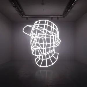 Reconstructed : the best of DJ Shadow